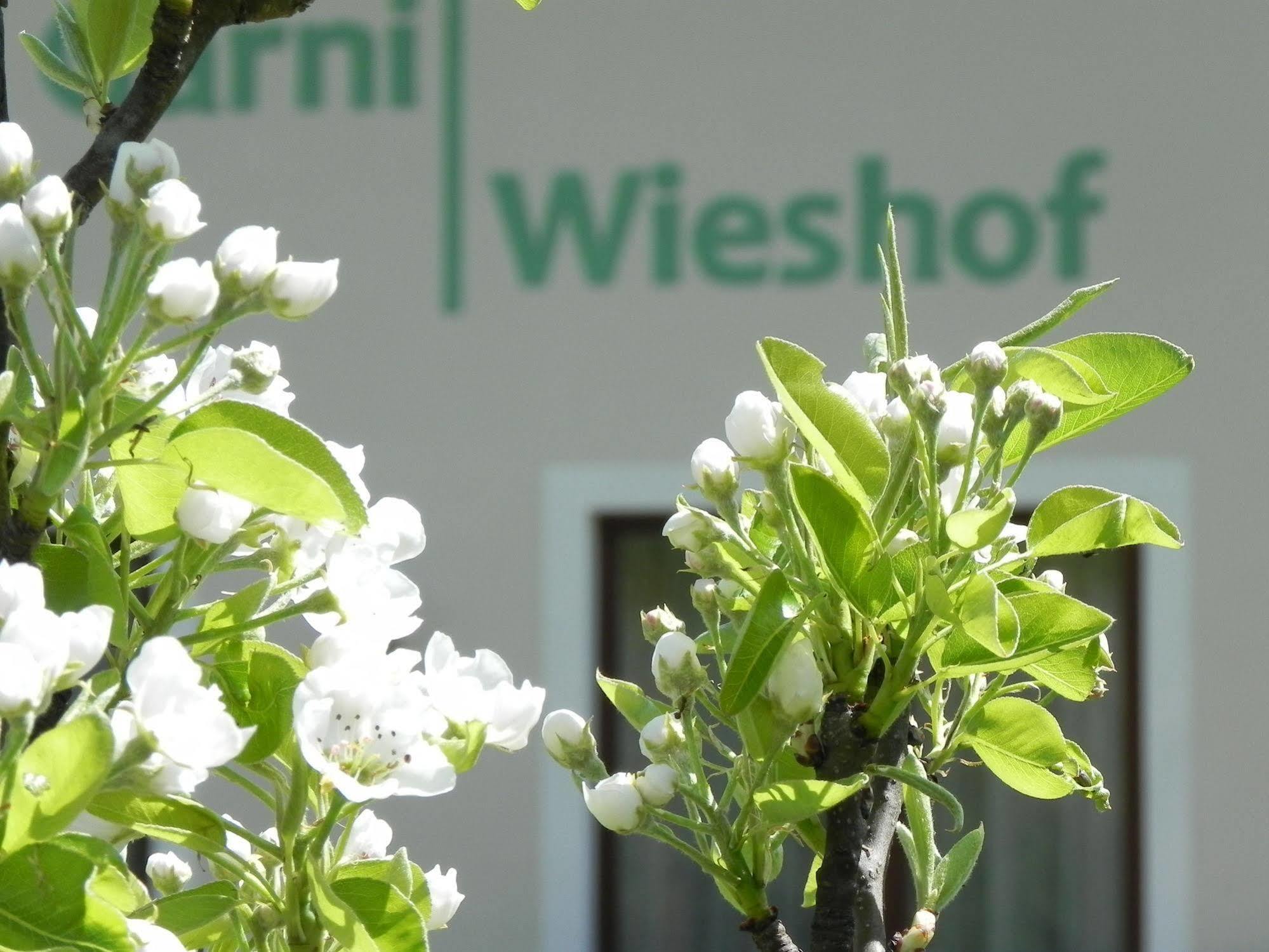 Hotel Garni Wieshof 라우리스 외부 사진